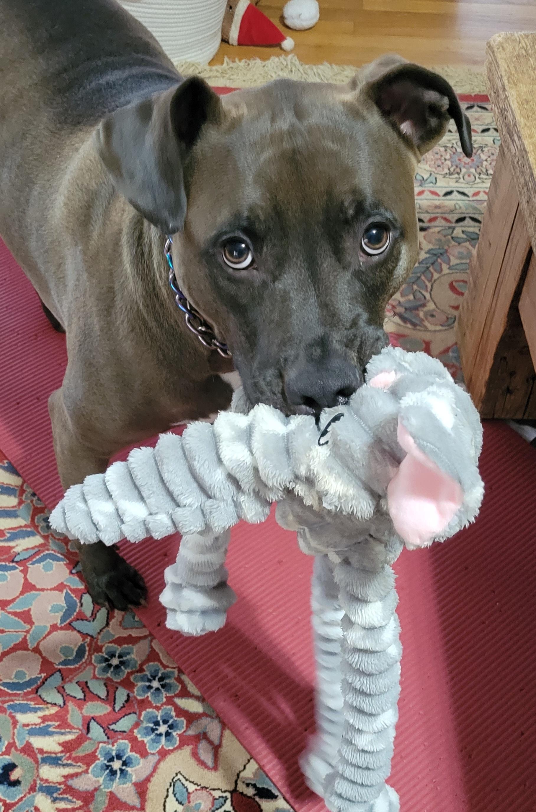 Darrell **Home for the Holidays 1/2 price!