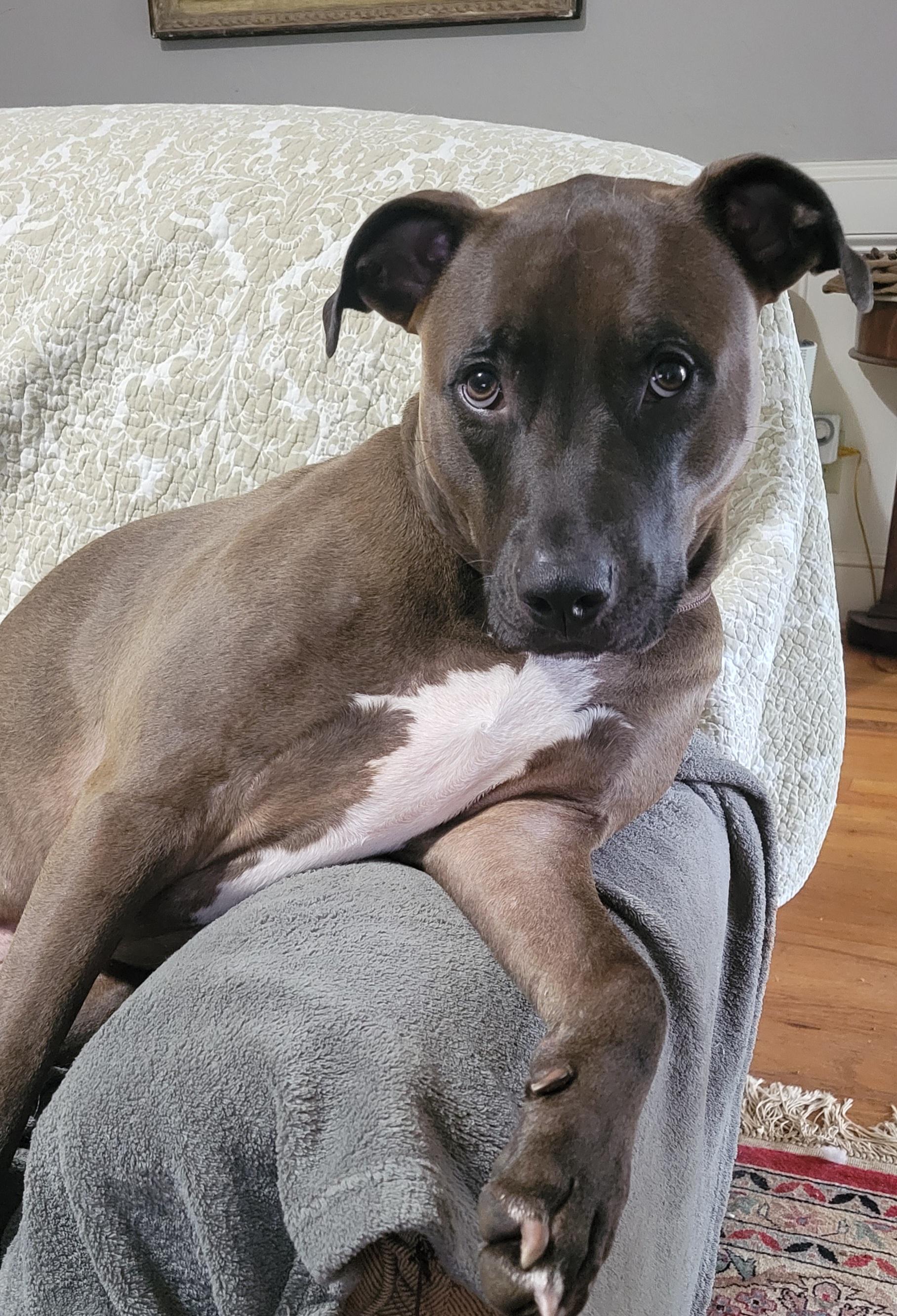 Darrell **Home for the Holidays 1/2 price!