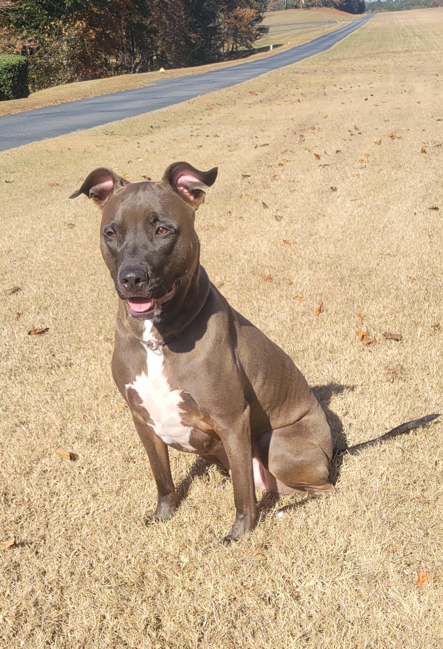 Darrell **Home for the Holidays 1/2 price!