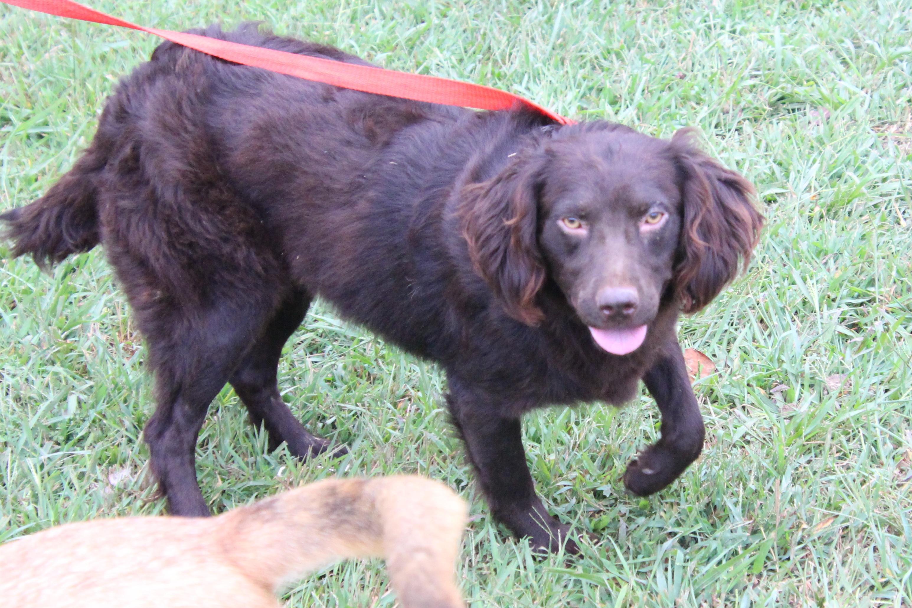 Brittany  Spears thumbnail 4