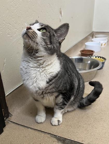 Ocean — thumbnail 2