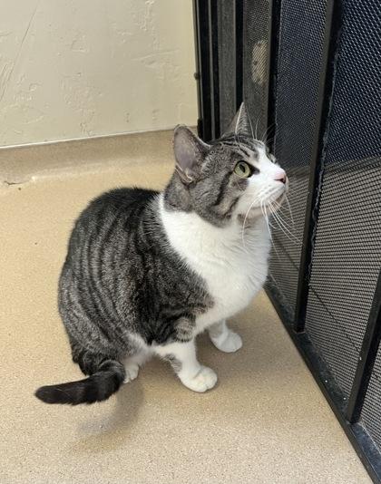 Ocean — thumbnail 3