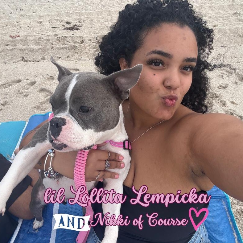 Enlarge Lollita Lempicka, a ADOPTABLE mixed breed in Fort Lauderdale , FL image 6/6