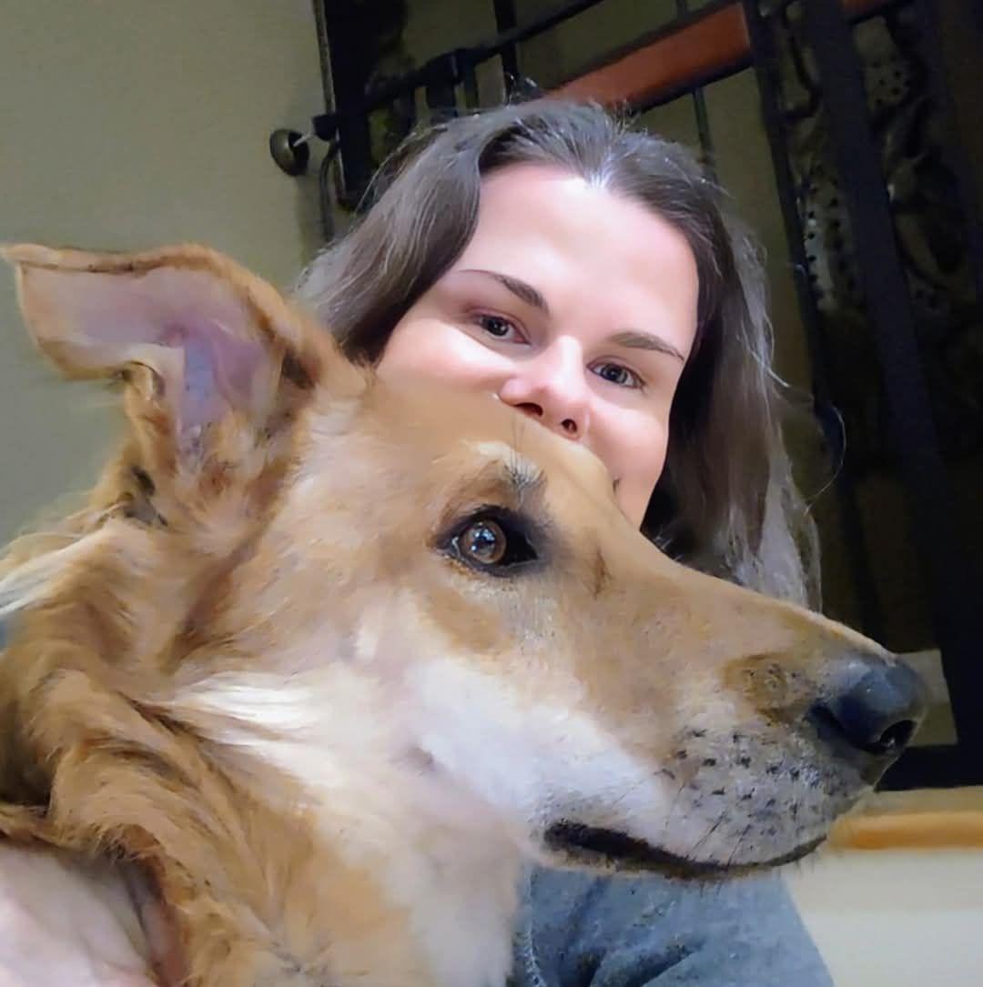 Enlarge Lu, an adoptable mixed breed in Concord, ON image 2/6