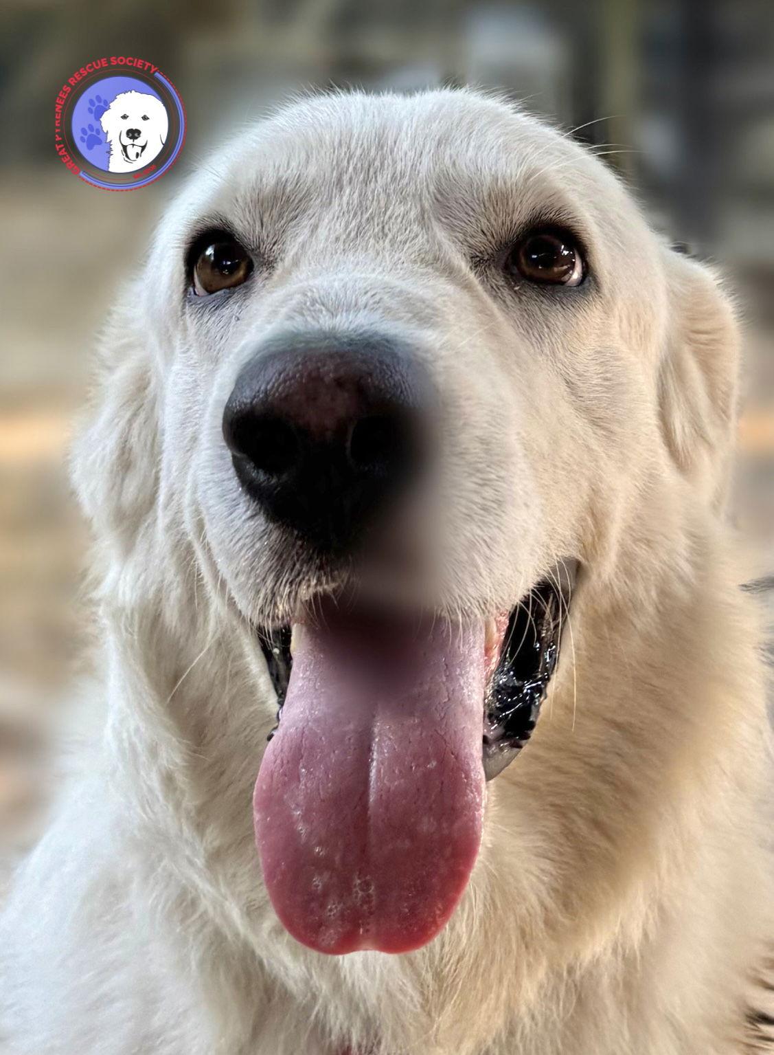 Hercules — thumbnail 3