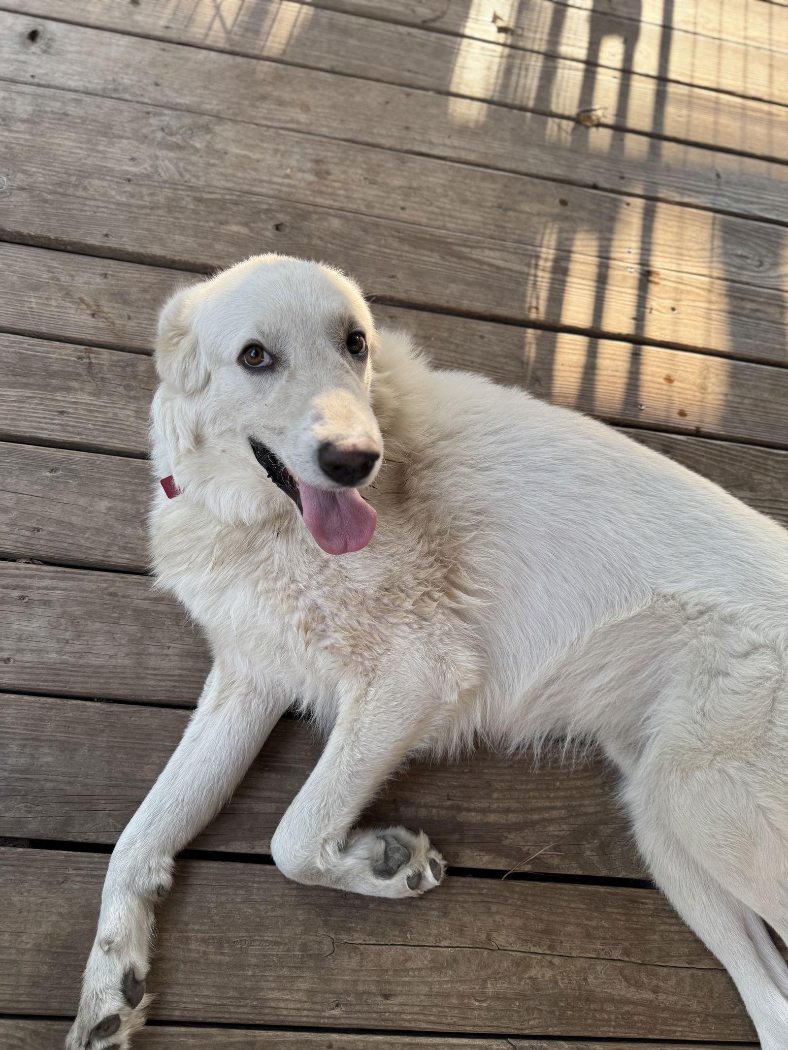 Hercules — thumbnail 4