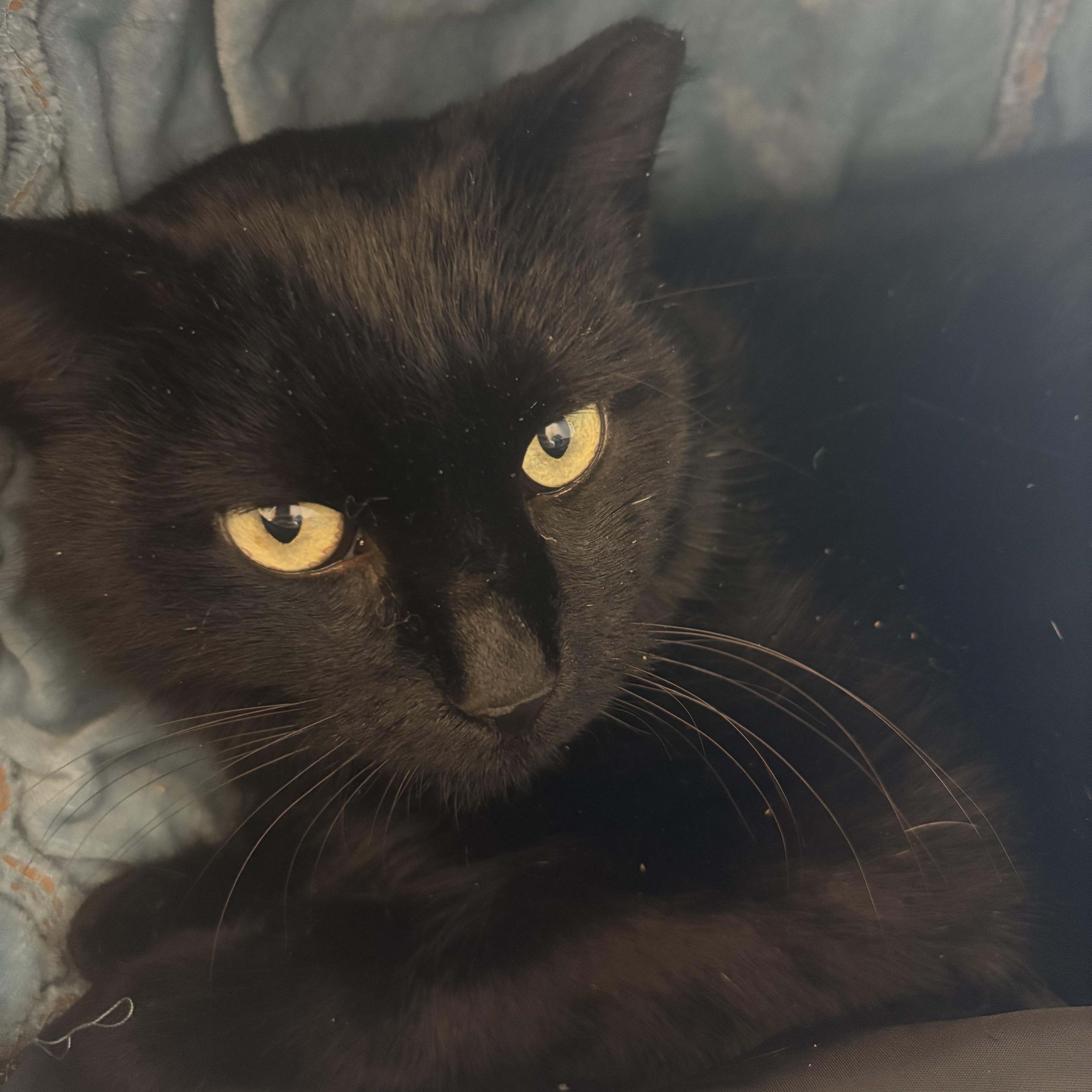 Roger — thumbnail 2