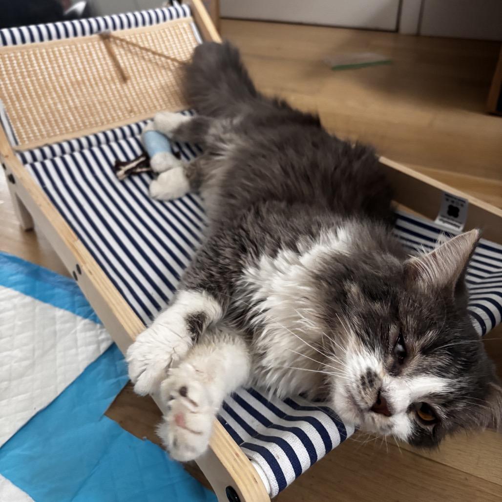 Wisp 2 — thumbnail 3