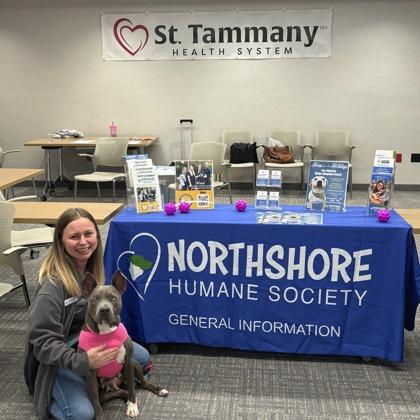 T. Swift, Adoptable, Adult Female Mixed Breed & Mixed Breed.