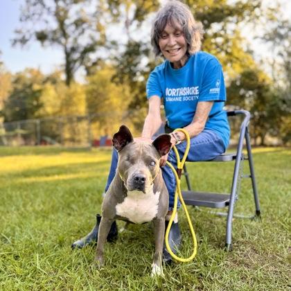 Enlarge T. Swift, a Adoptable Mixed Breed in Covington, LA image 2/3