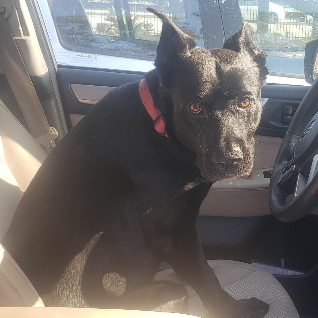 Cash — thumbnail 2