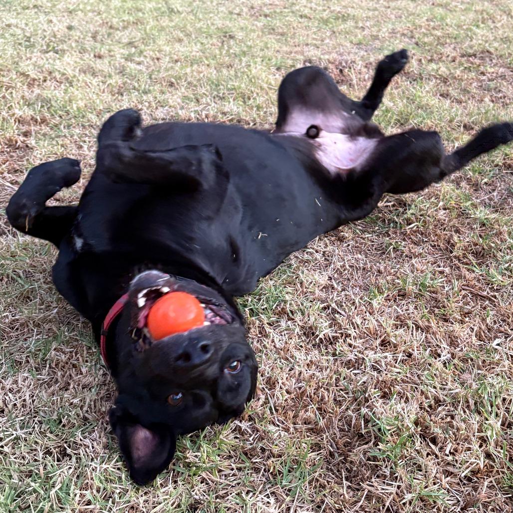 Cash — thumbnail 3