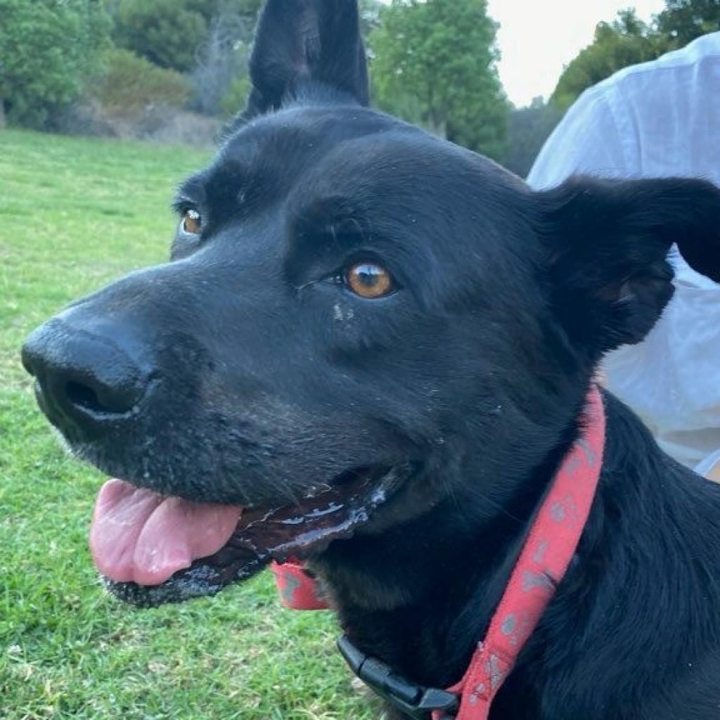 Cash — thumbnail 4