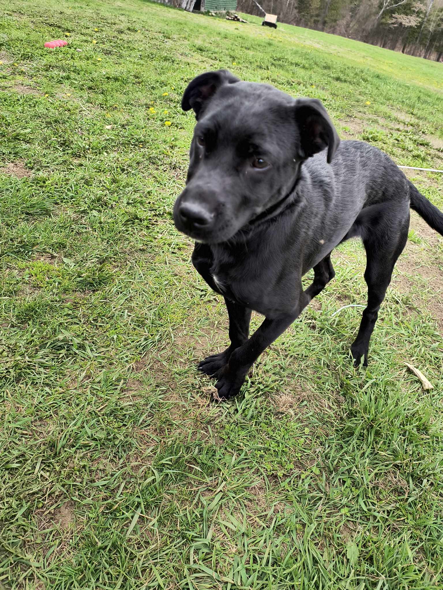 Krypto