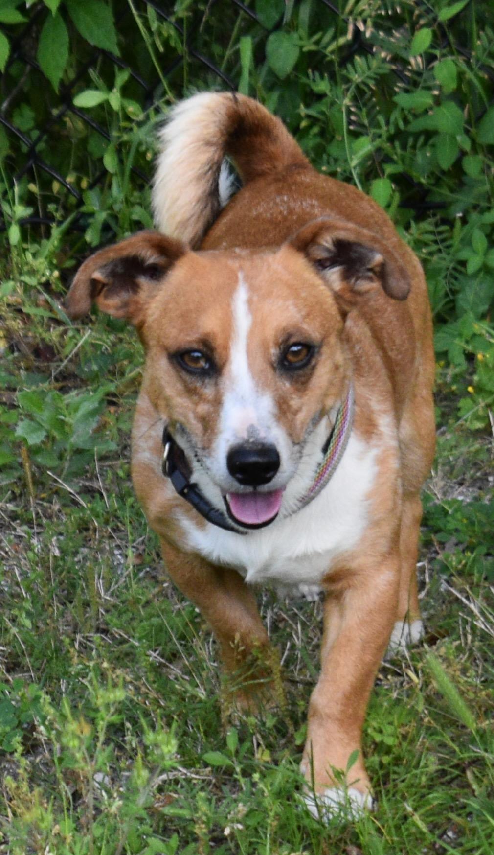 CHARLIE photo 2