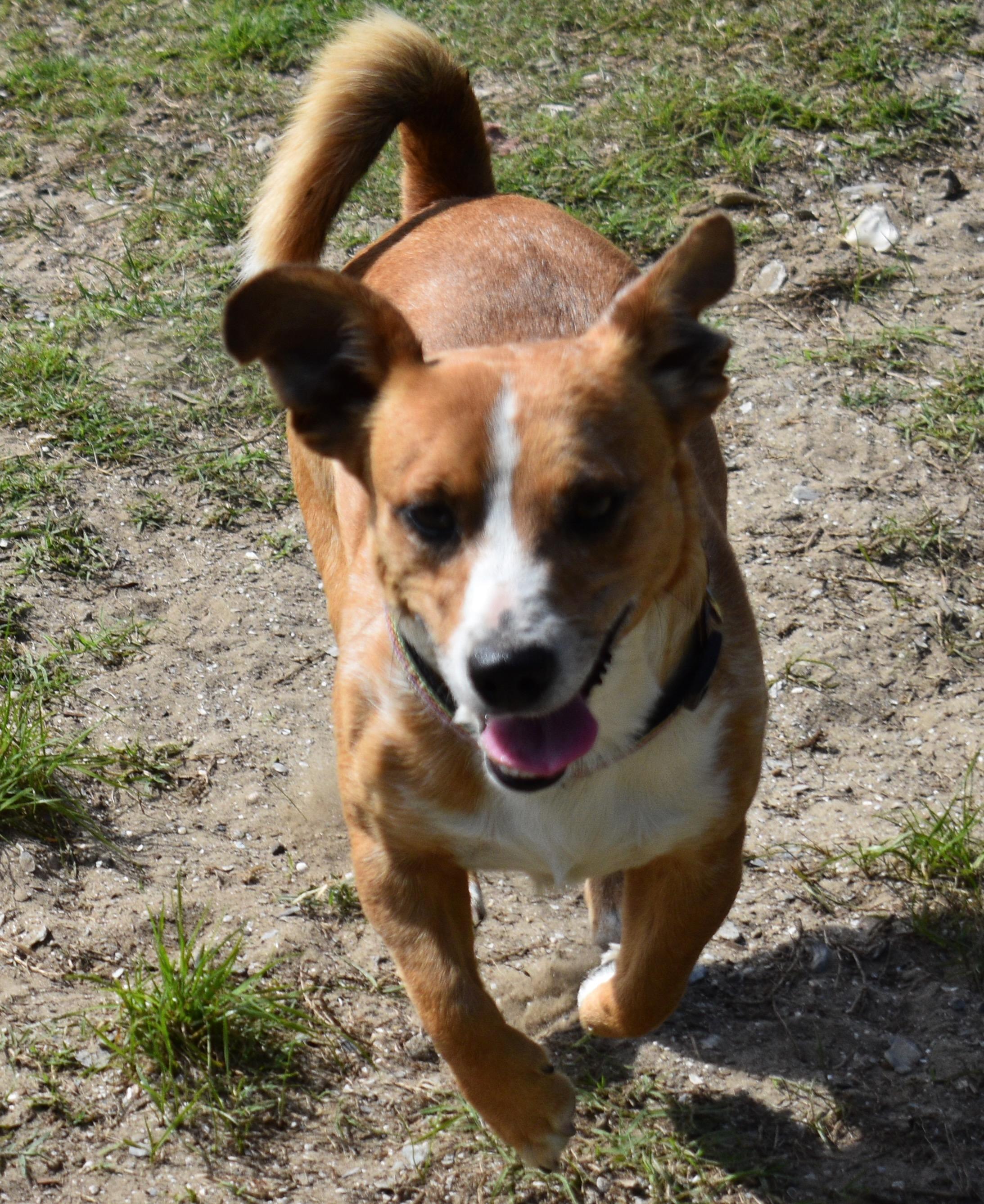 CHARLIE photo 4