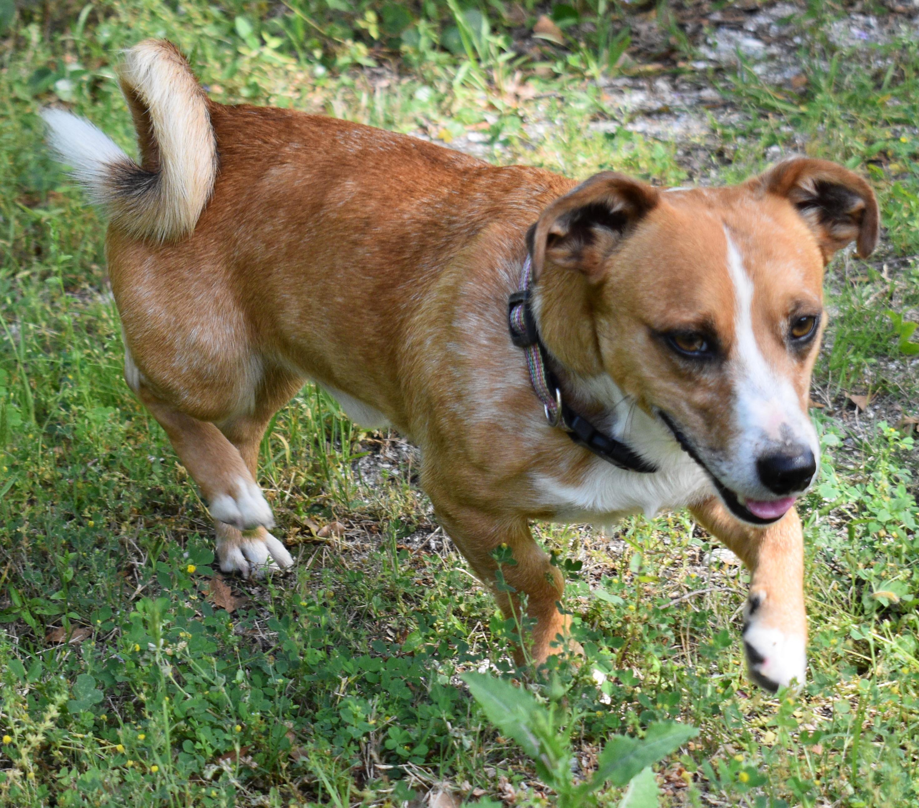 CHARLIE photo 3