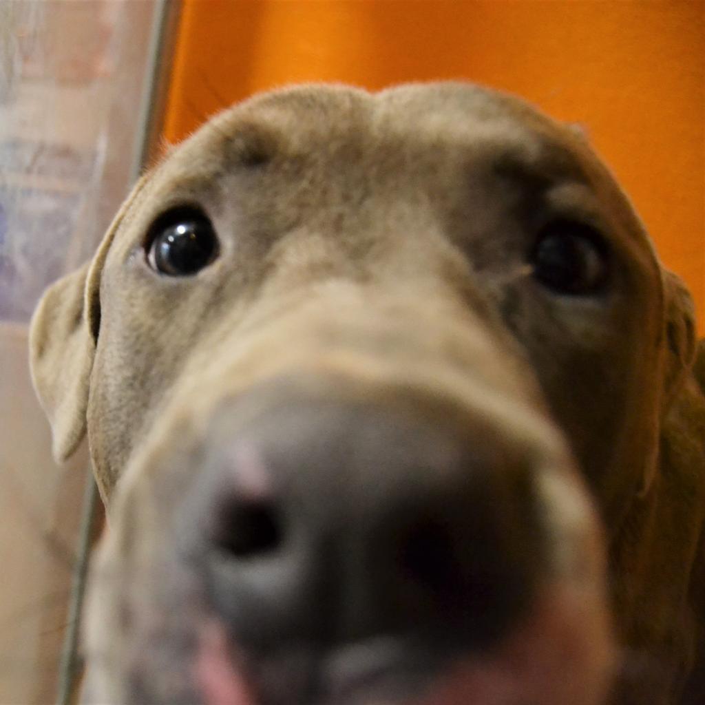 Widget — thumbnail 2