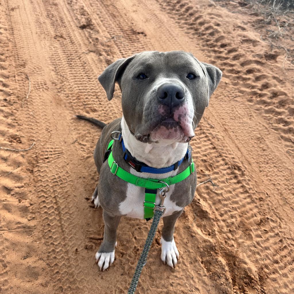 Widget — thumbnail 3