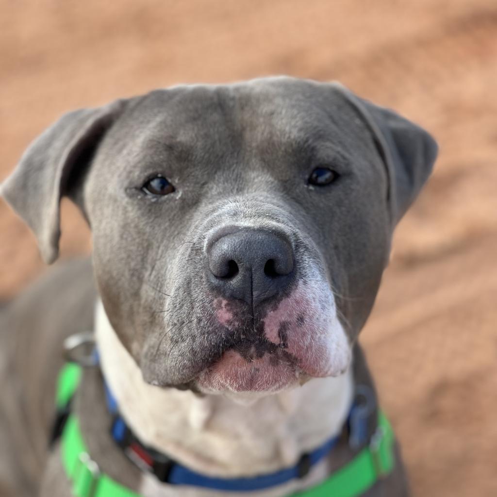 Widget — thumbnail 4