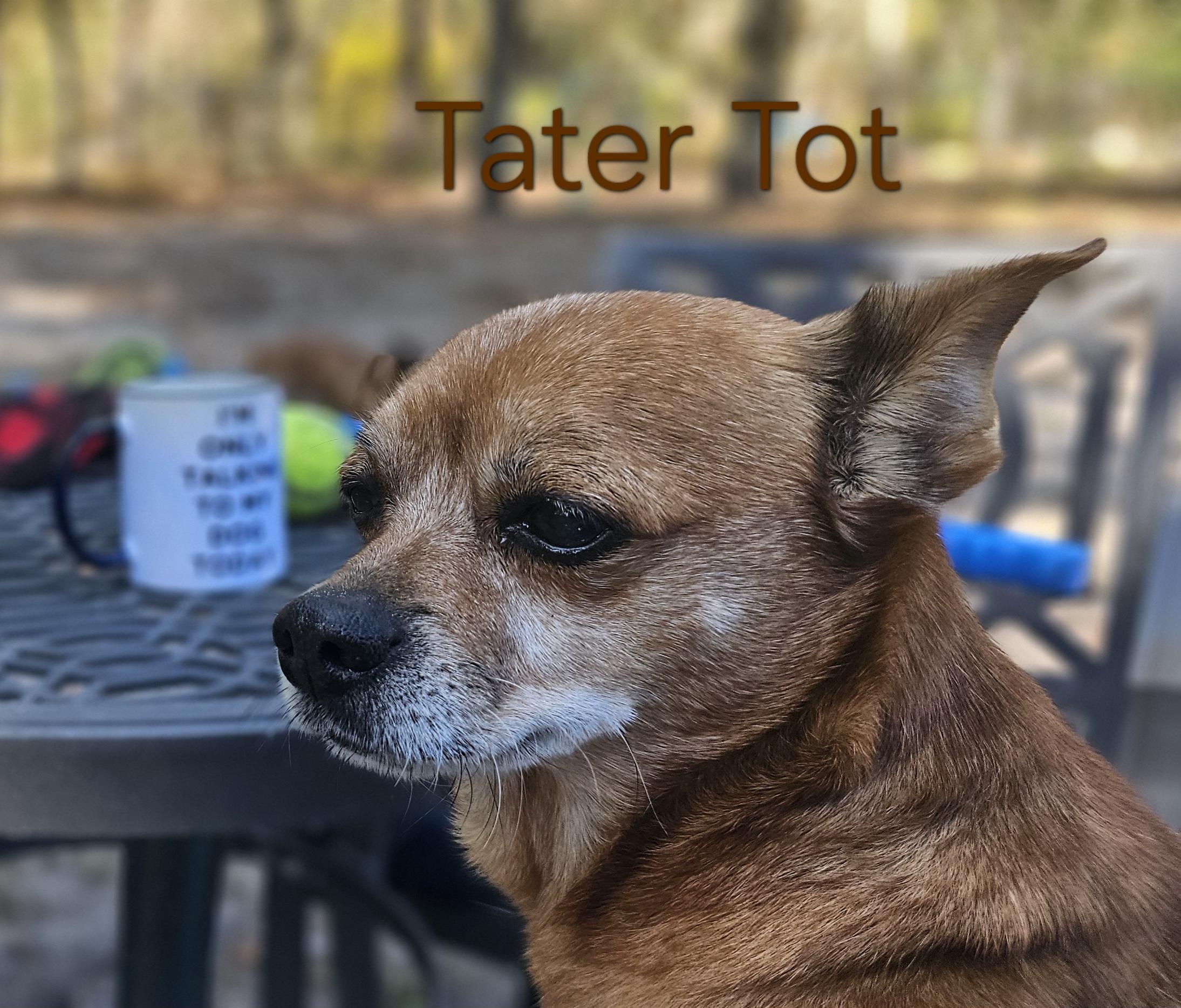 Tater Tot