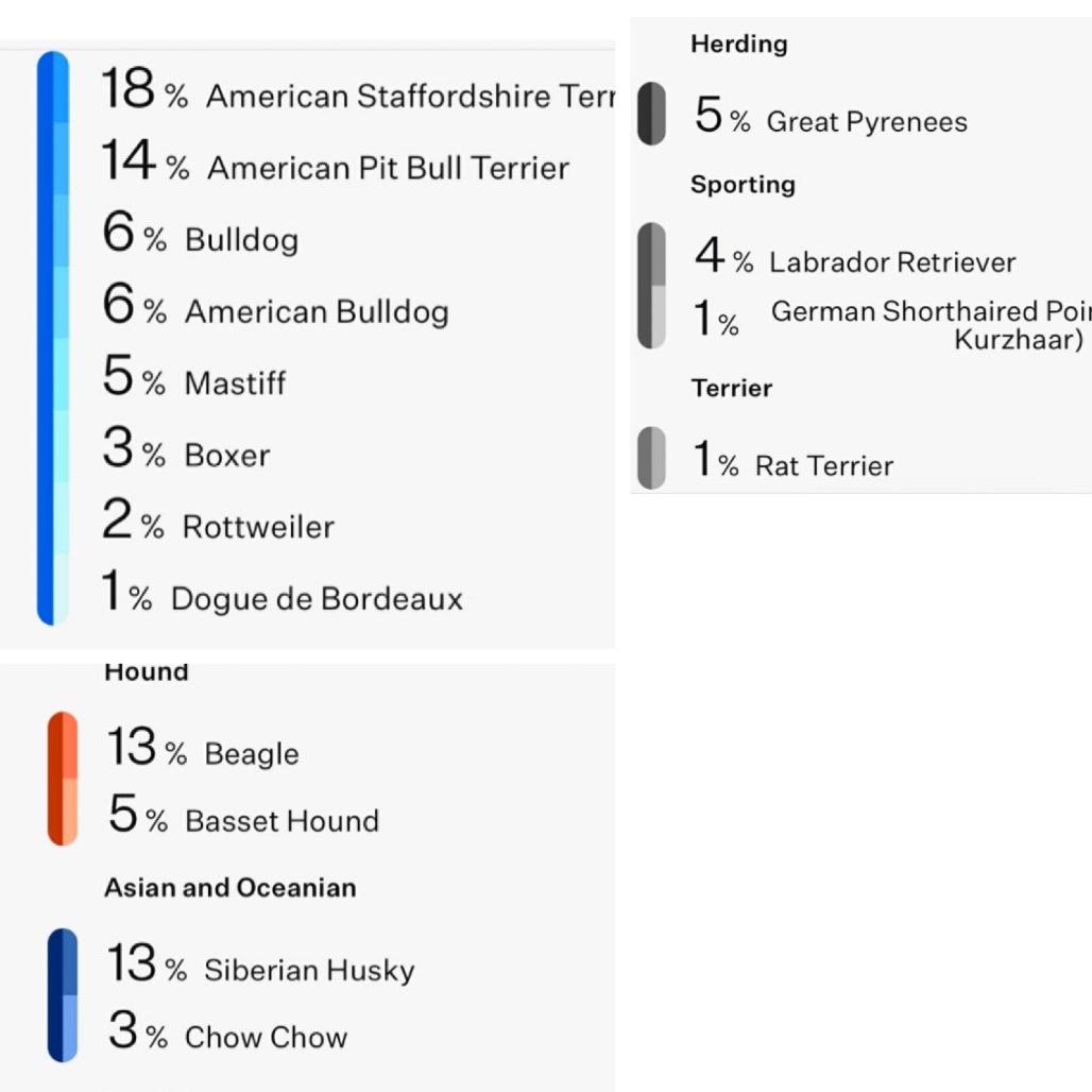 Enlarge Subway, a Adoptable Mixed Breed in Kansas City, MO image 1/6