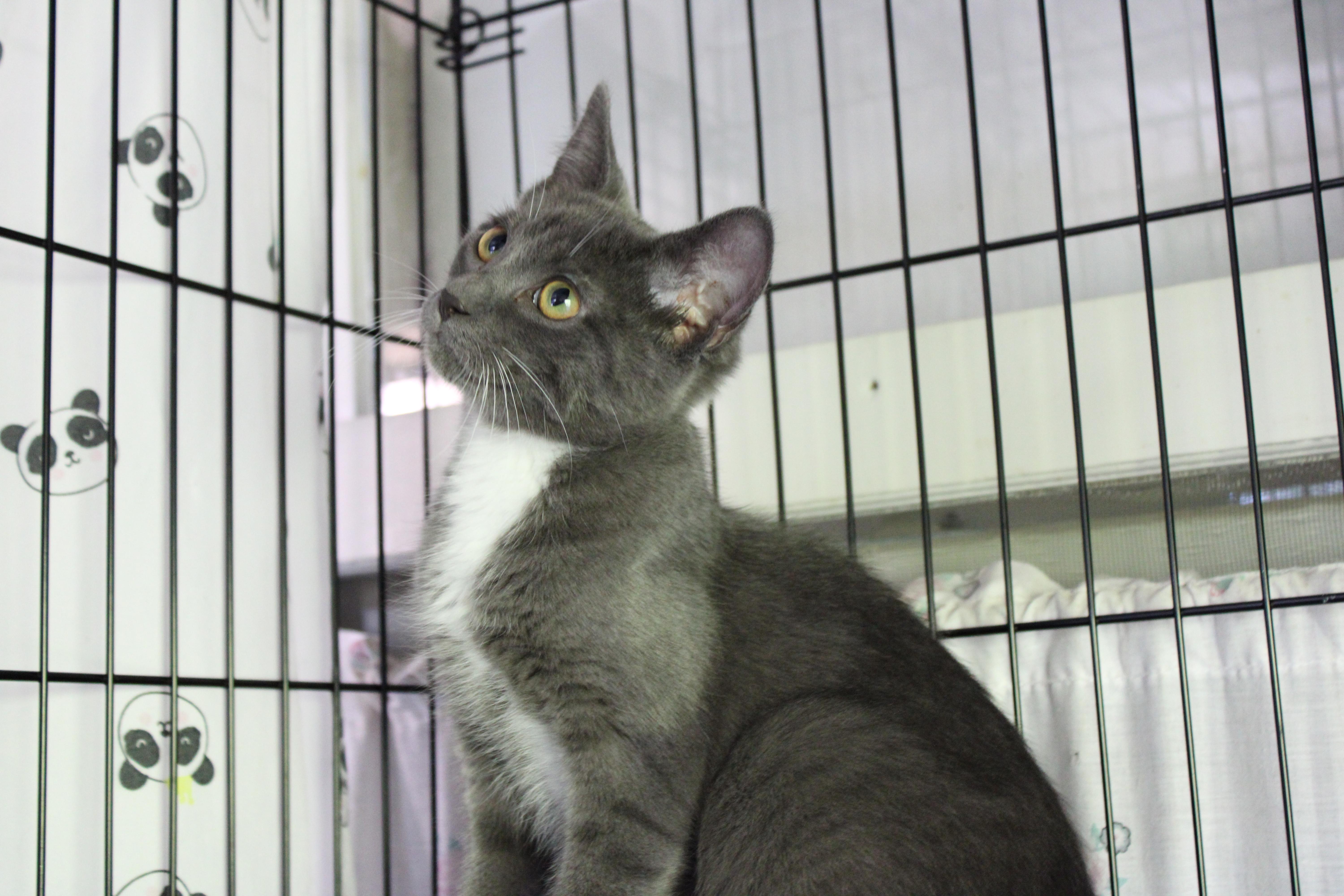 Cutie Pie thumbnail 2