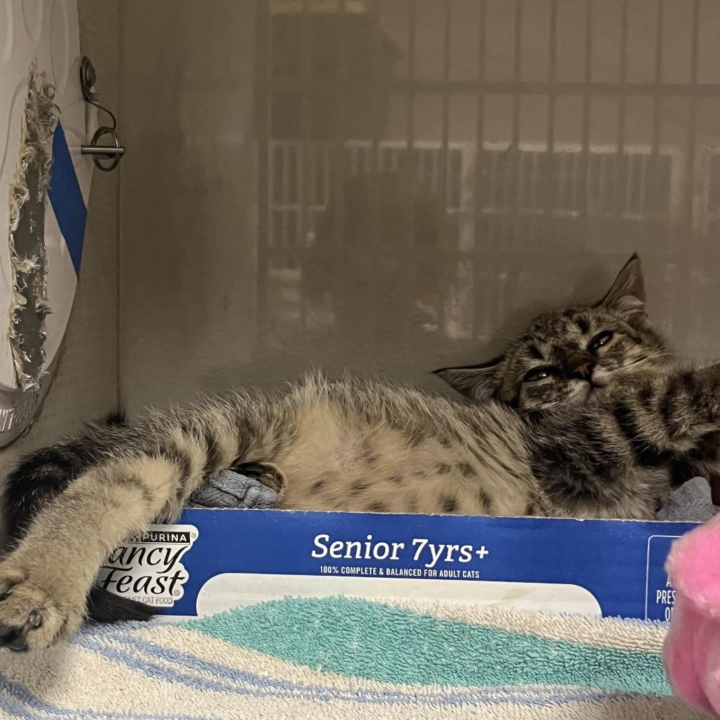 Shoe — thumbnail 3