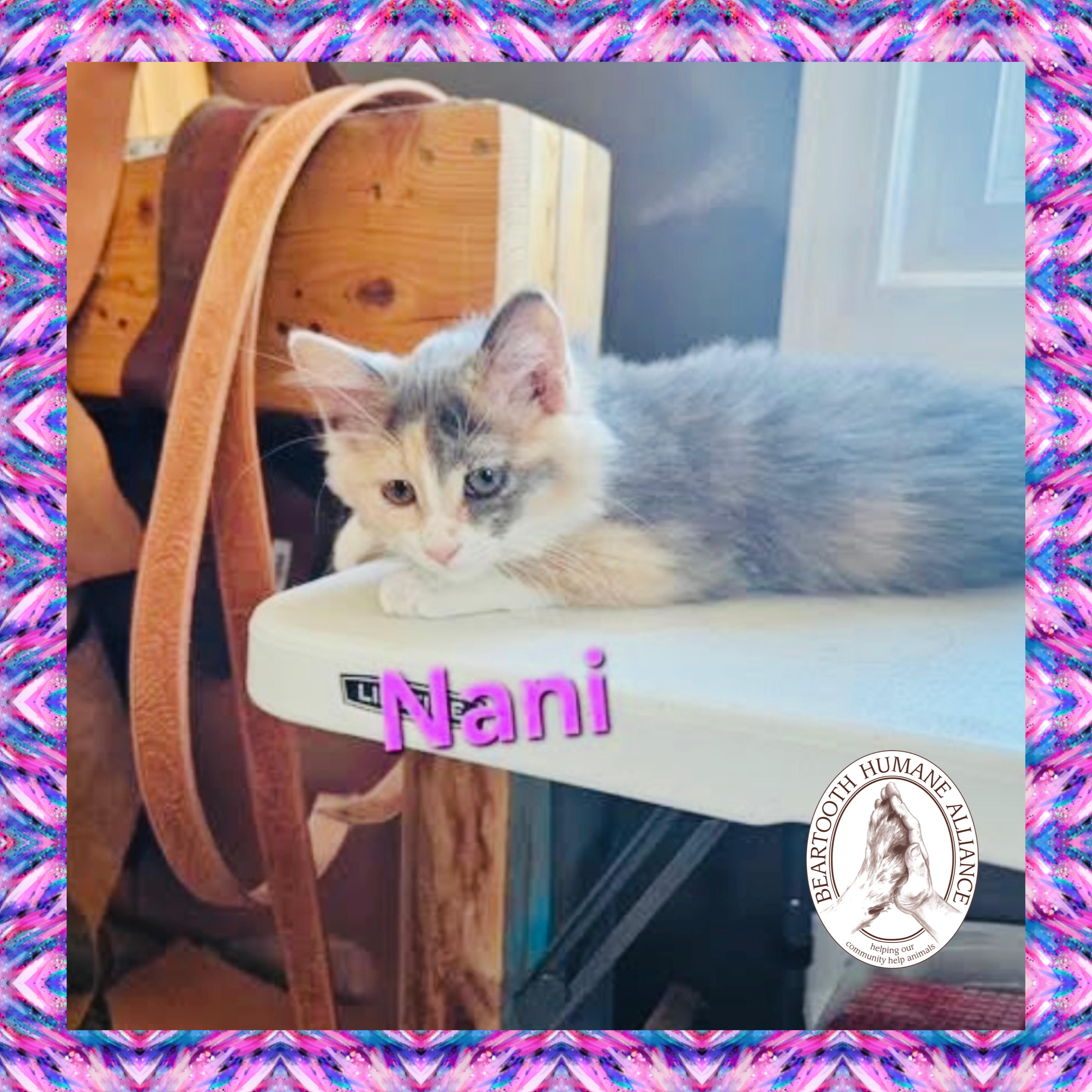 Nani, Baby Female unknown