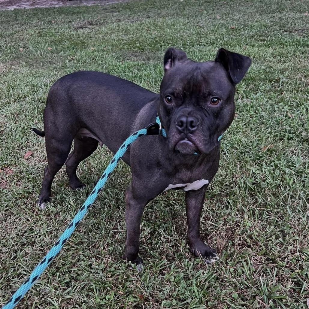 Mae Mae — thumbnail 2