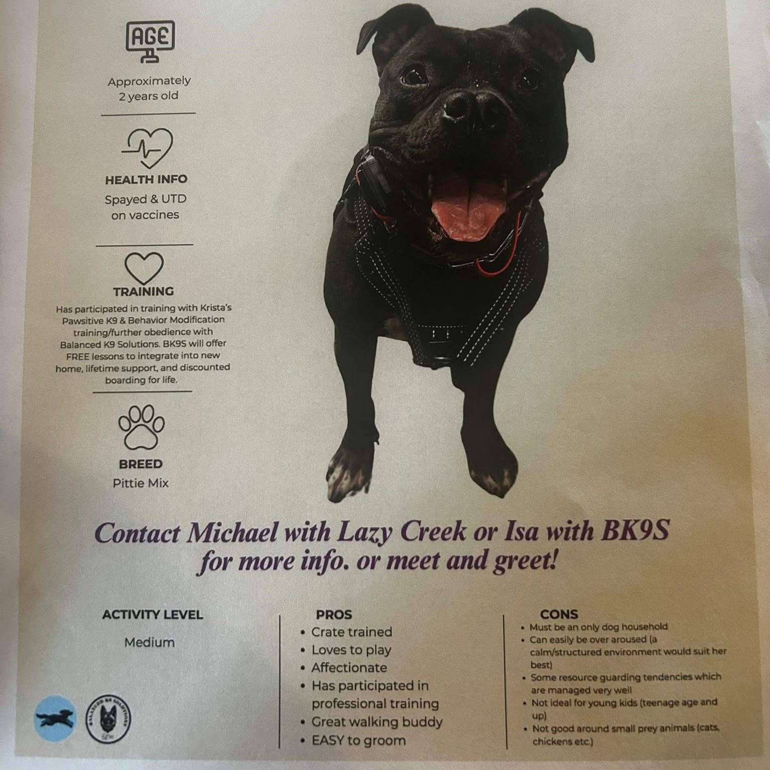 Mae Mae — thumbnail 4