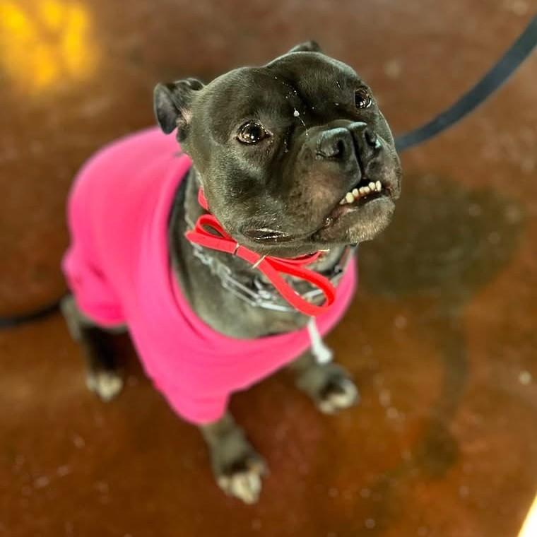 Mae Mae — thumbnail 6