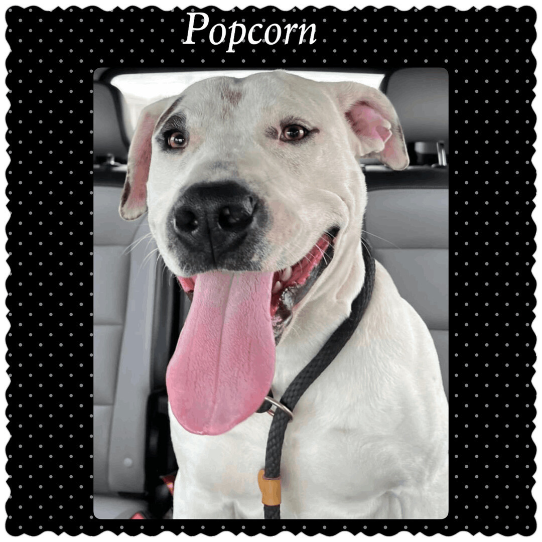 Popcorn