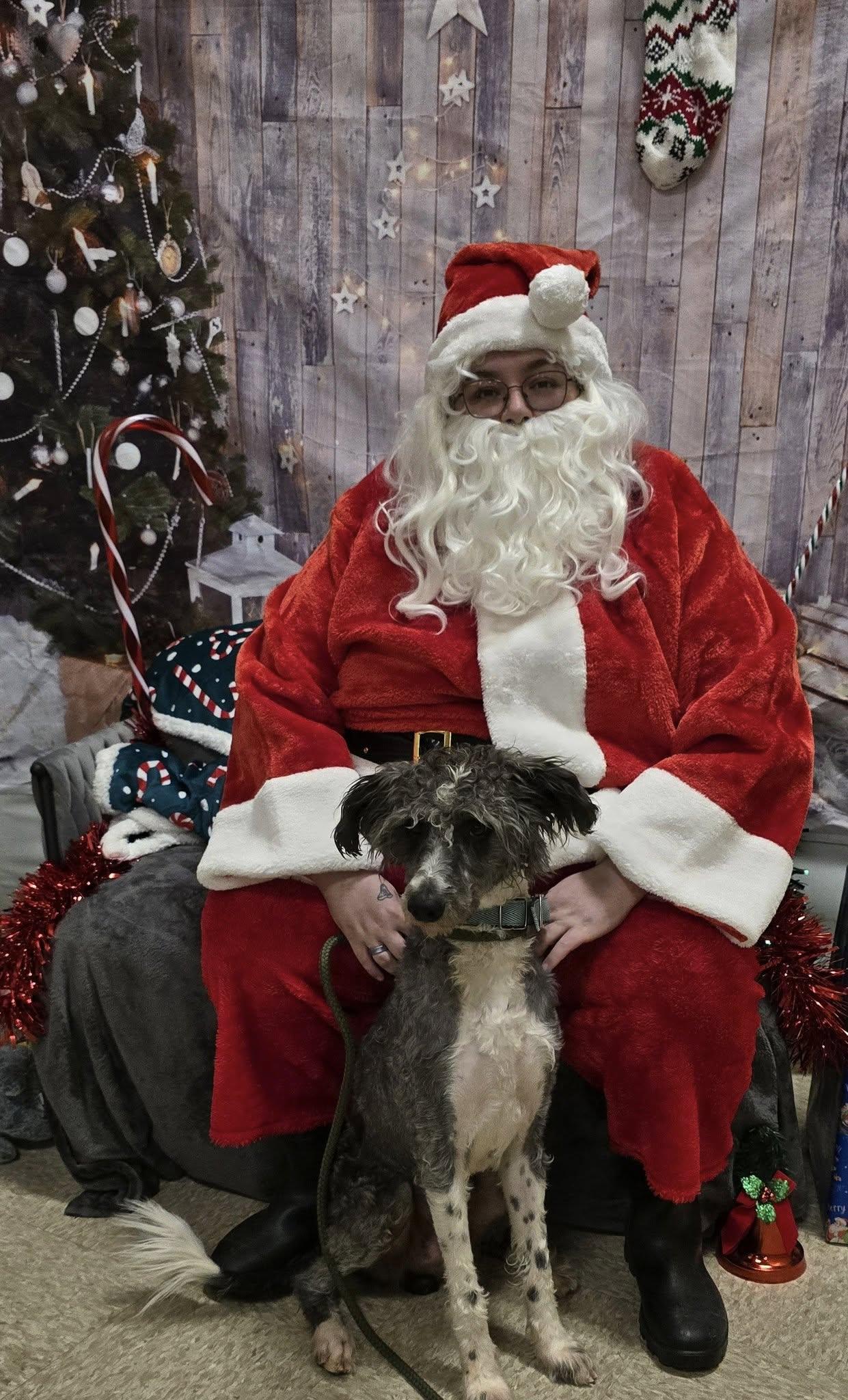 Enlarge Paisley, a ADOPTABLE mixed breed in Terre Haute, IN image 2/5