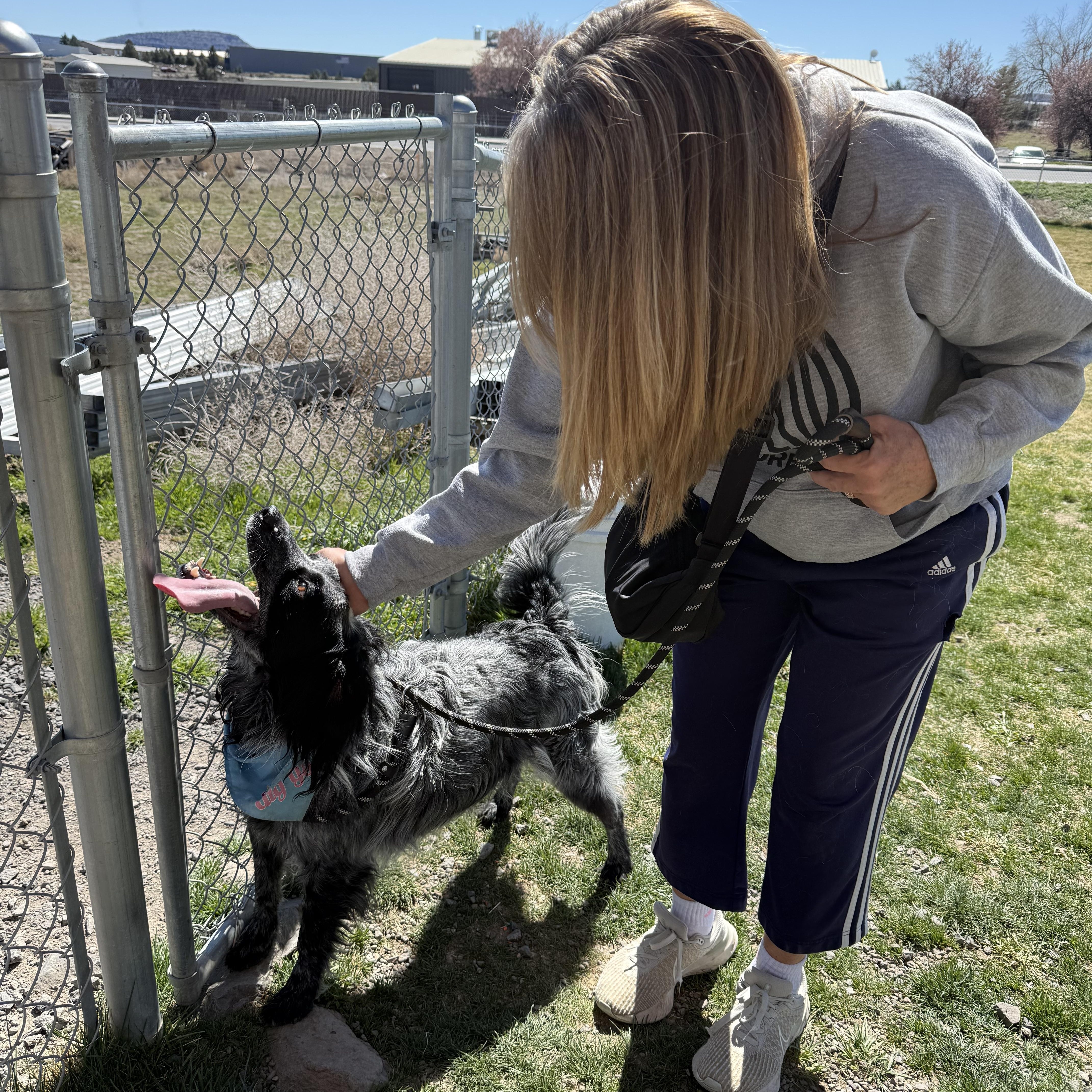 Enlarge Bandit, a Adoptable mixed breed in Prineville, OR image 5/6