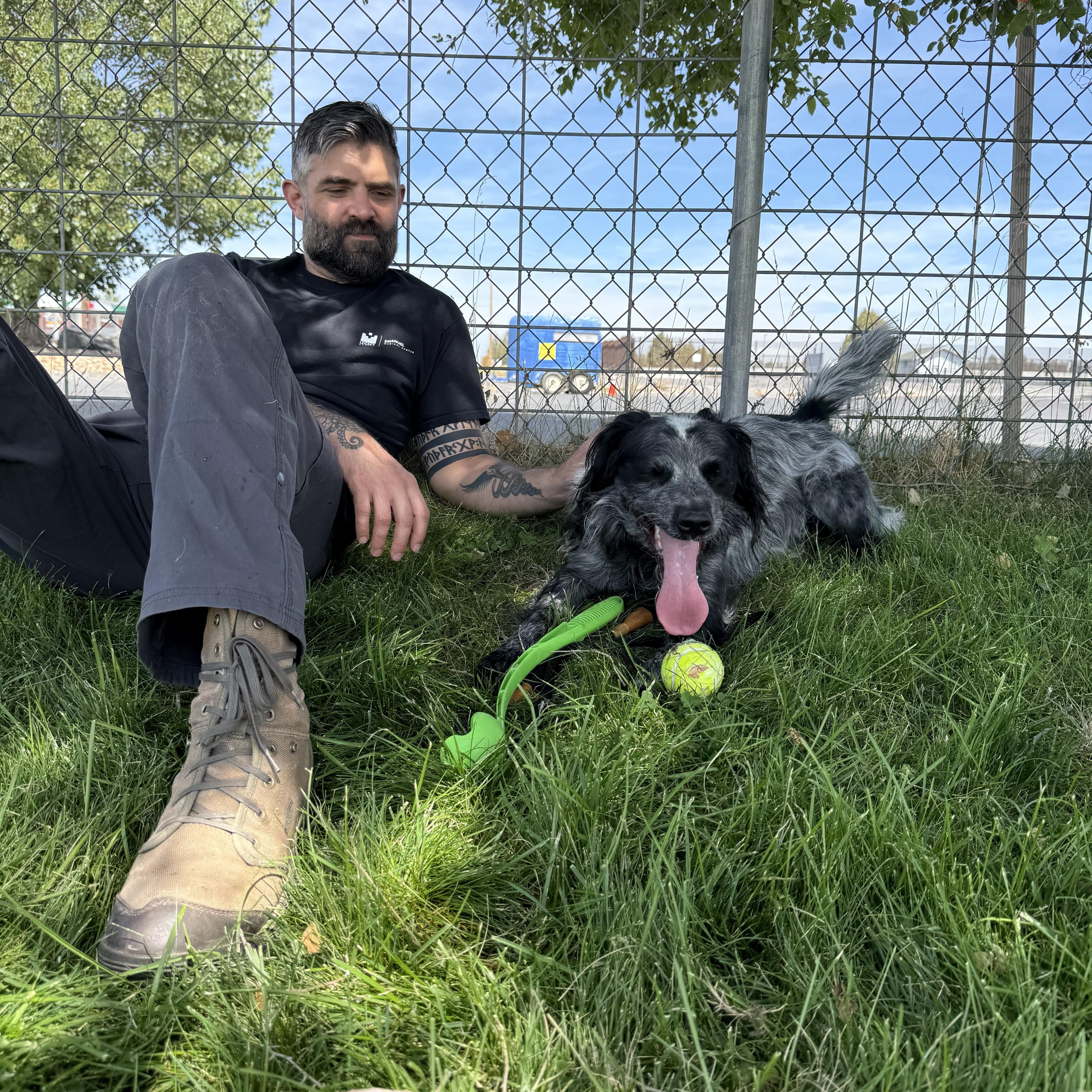 Bandit, a Adoptable mixed breed in Prineville, OR image 6/6