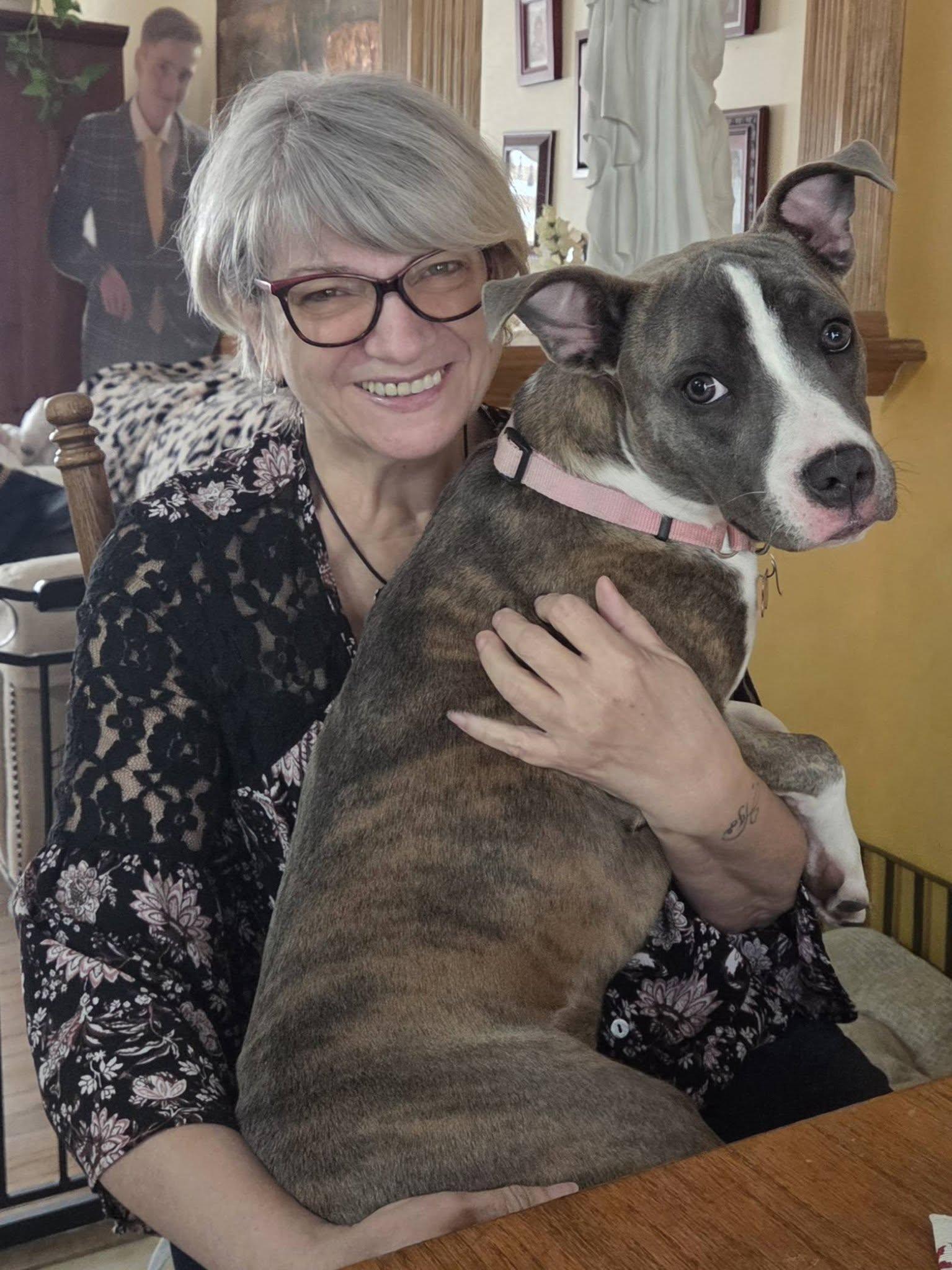 Enlarge Onyx, a Adoptable Terrier in Blackwood, NJ image 1/3