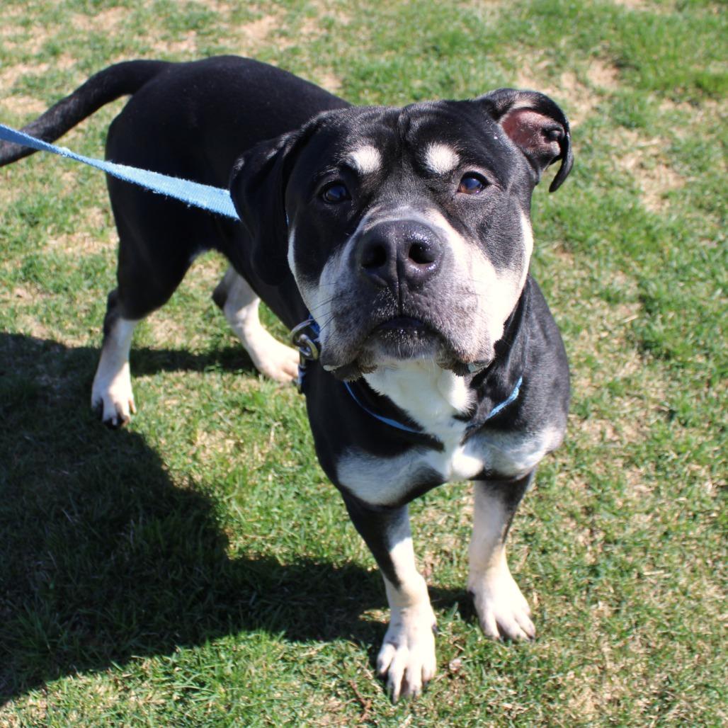 Zeus — thumbnail 2