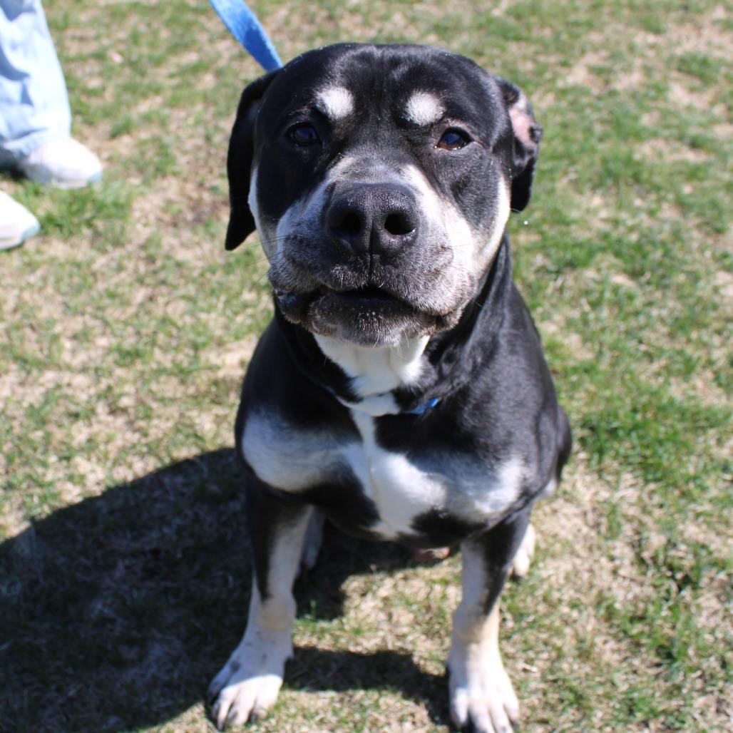 Zeus — thumbnail 3