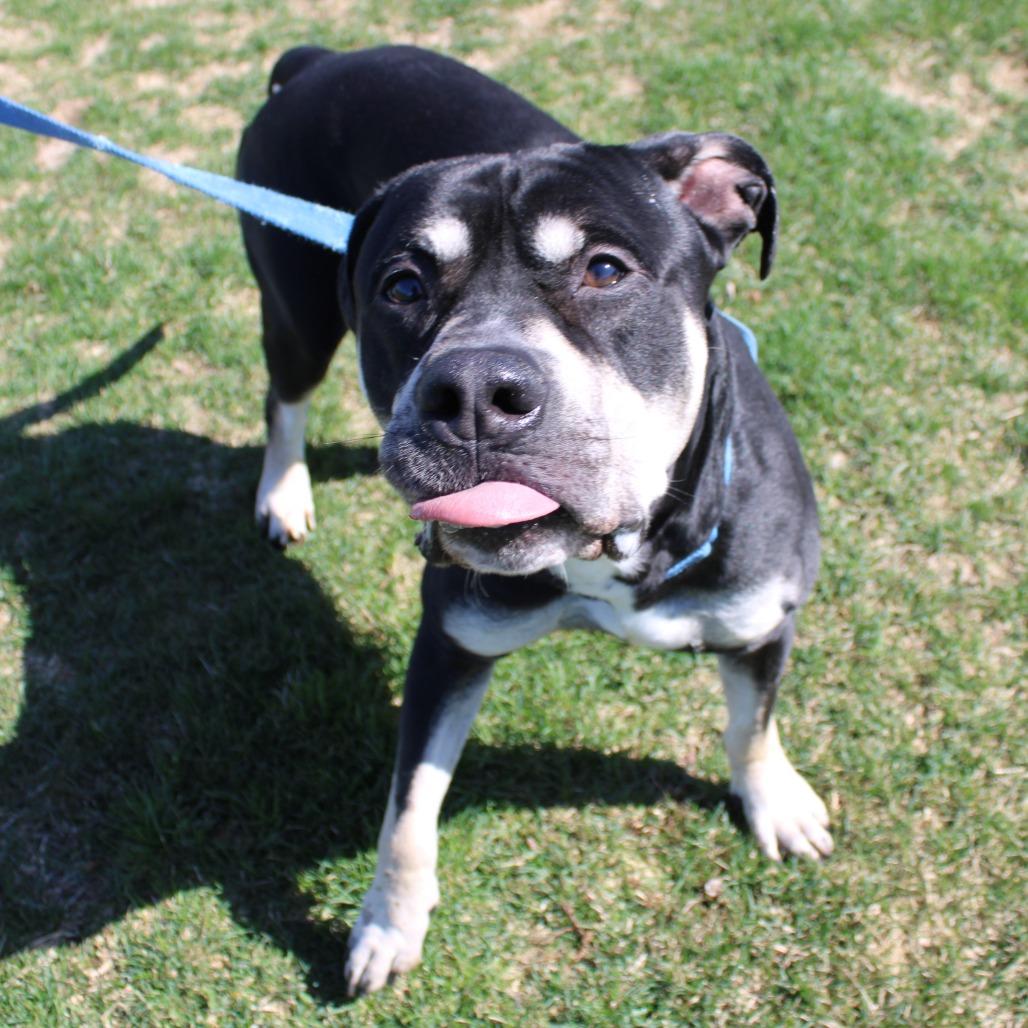 Zeus — thumbnail 4