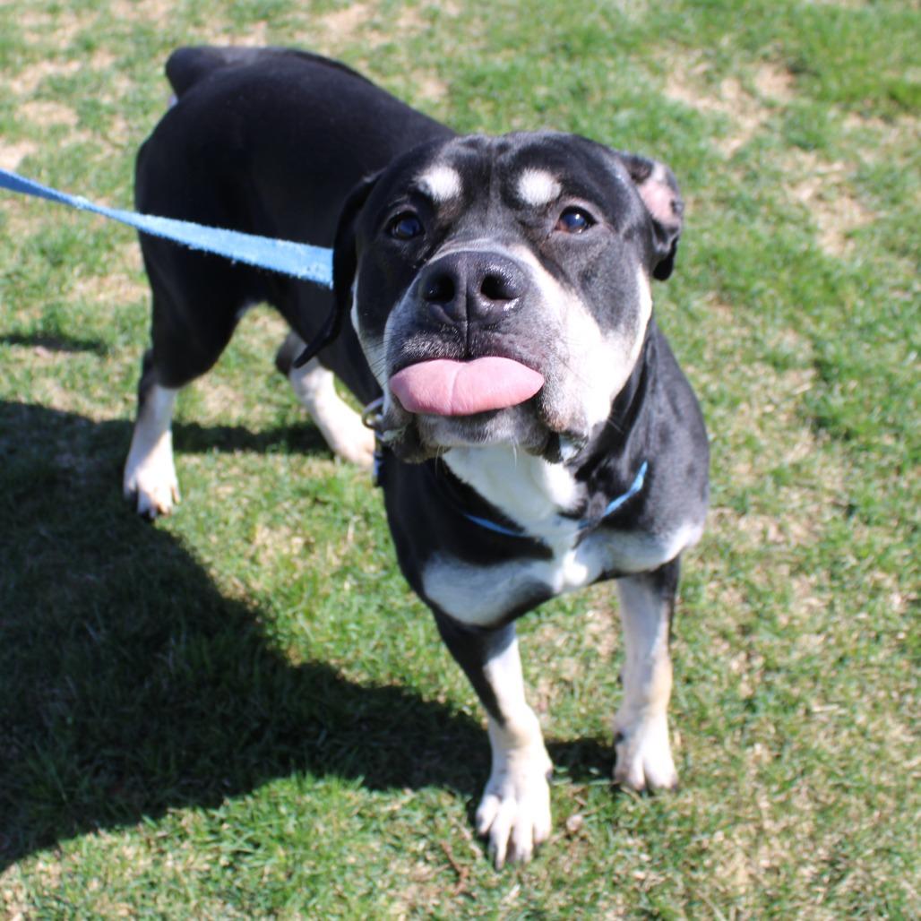 Zeus — thumbnail 5