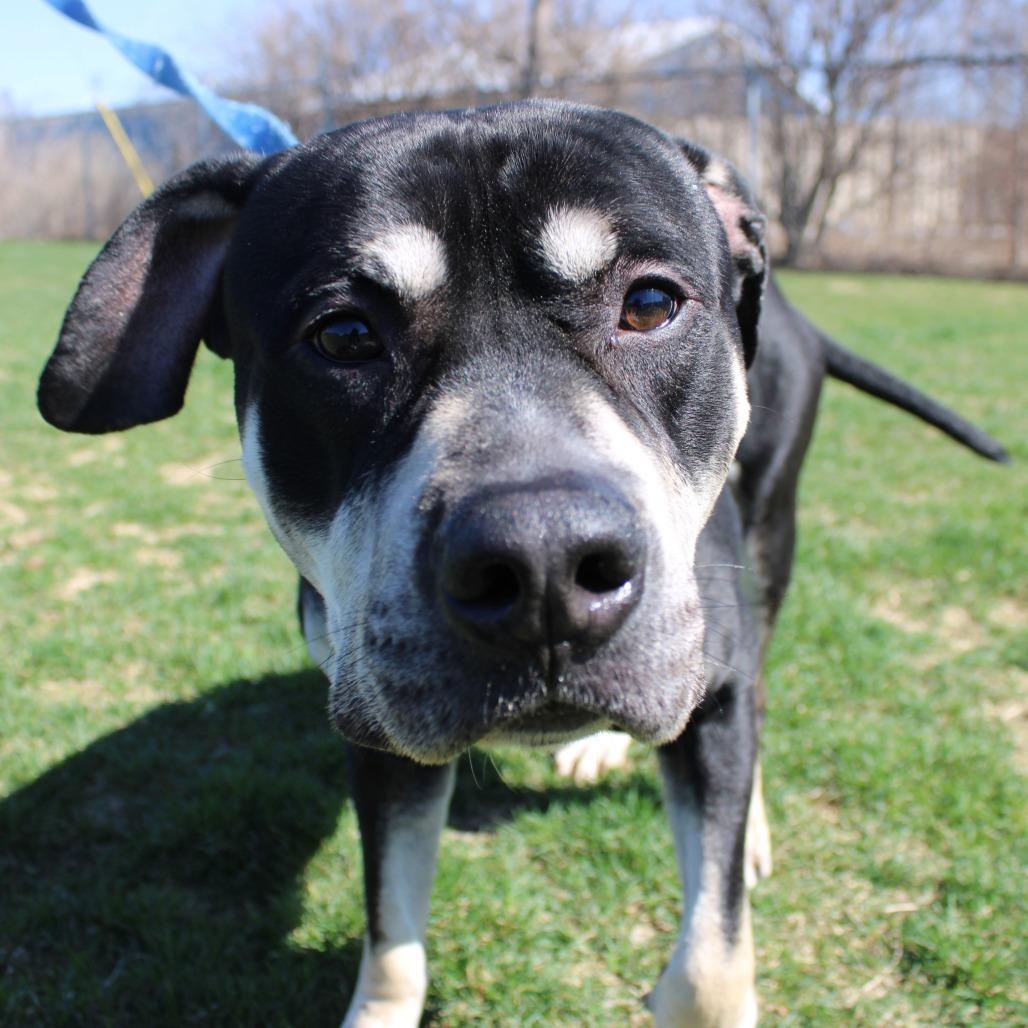 Zeus — thumbnail 6