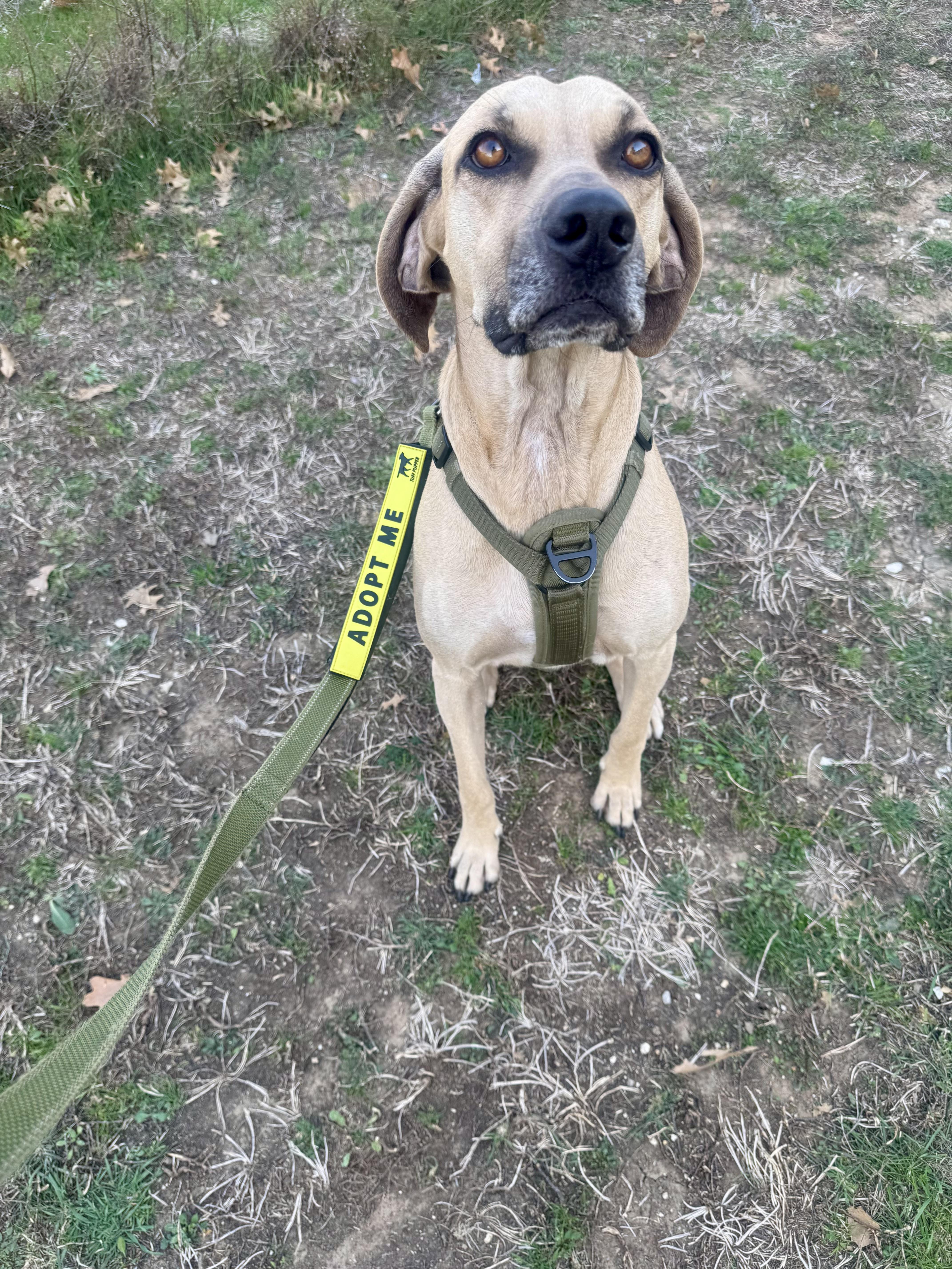 Timmy — thumbnail 2