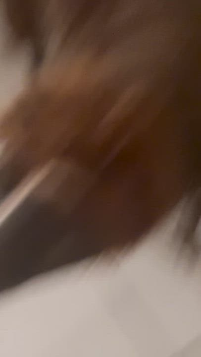 Enlarge Teddy, a Adoptable mixed breed in cape coral, FL video 6/6