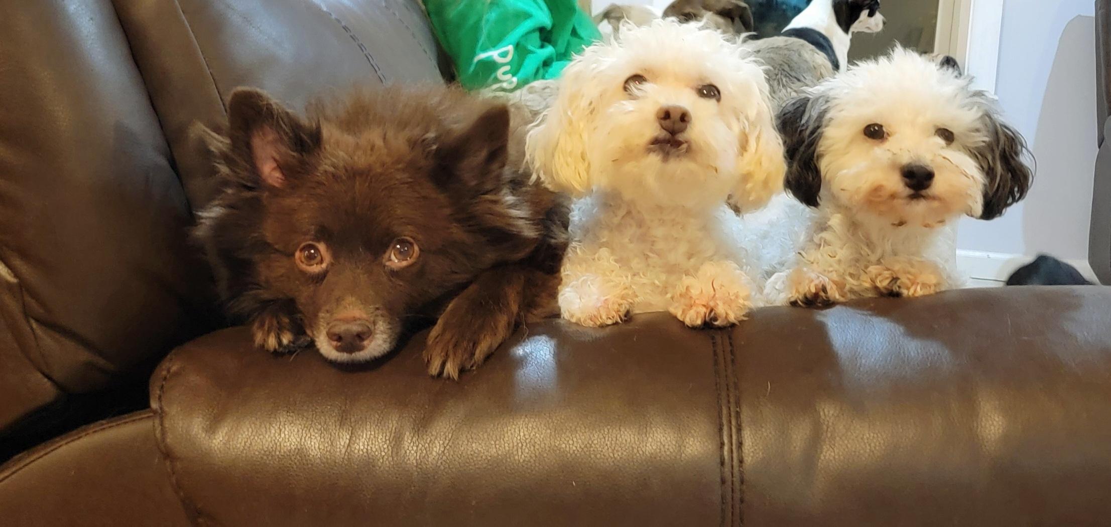 CoCo photo 2
