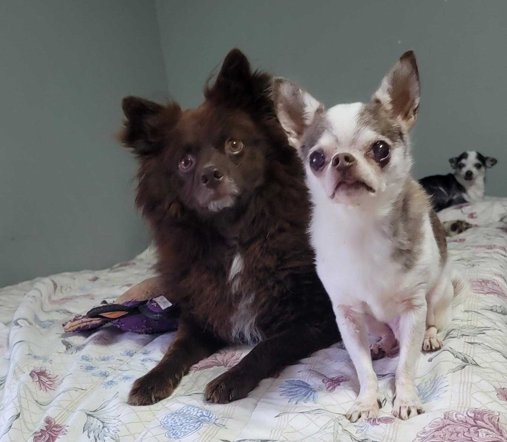 CoCo
