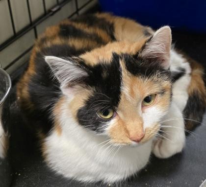 Mercy — thumbnail 2