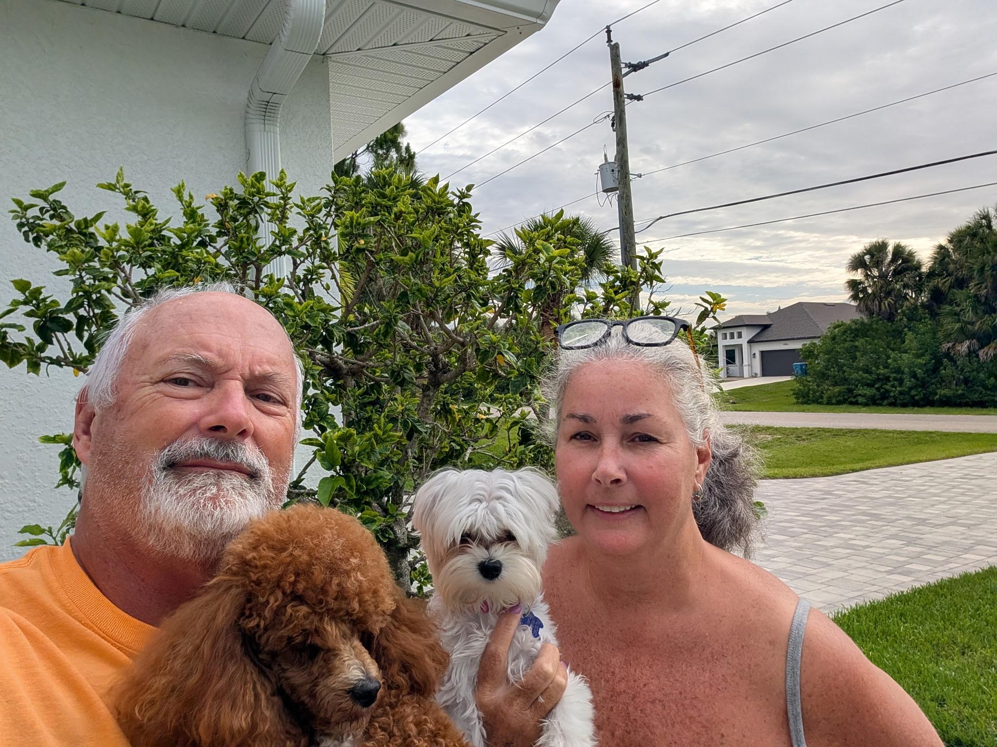Lacey, a Adopted Maltese in Cape Coral, FL image 2/3