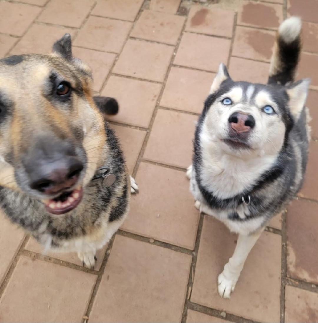 Zekey Zeek!!