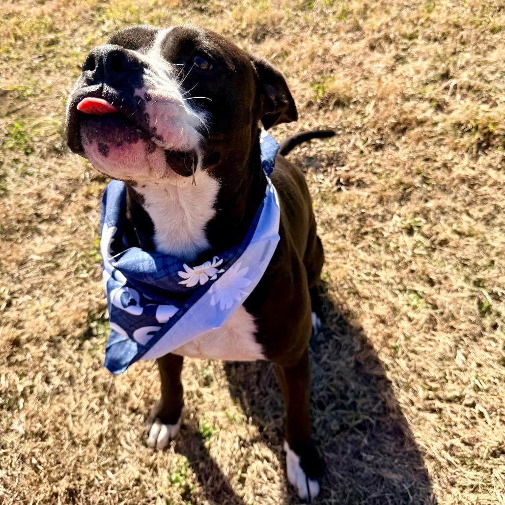 Coast — thumbnail 4